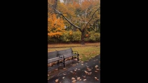 استوری بارون برای کلیپ / کلیپ هوای بارونی برای استوری