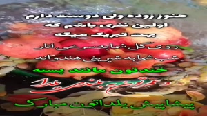 کلیپ پیشاپیش یلدا مبارک / یلدا 1404