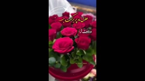 کلیپ تبریک ماه رجب و میلاد امام محمد باقر برای استوری