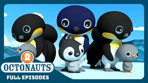 پنگوئن‌های امپراتور