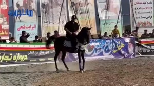 در  پیرانشهر، نمایش اسب‌سواری برگزار شد