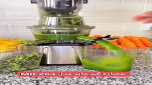 عصاره گیر مایر مدل mr-263