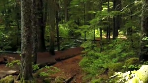 دعانویس مجرب تضمینی 