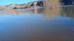 دعانویس یهودی تضمینی 