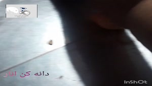 دانه کن انار۰۹۱۳۸۸۰۳۱۰۱