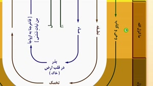 روند رویش درخت‌های درونی