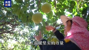 ردپای شی جین‌پینگ در سال 2025