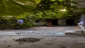 مادرم روزت مبارک /کلیپ تبریک روز زن برای مادر آسمانی 