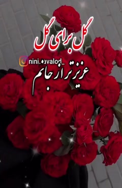 عزیز دل خاله یلدات مبارک / کلیپ شاد شب یلدا