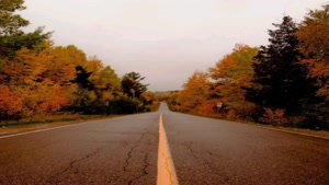 کلیپ انگیزشی موفقیت