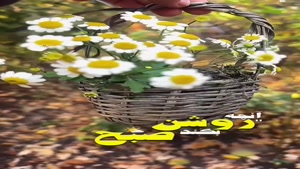 کلیپ صبح بخیر / صبح قشنگت بخیر