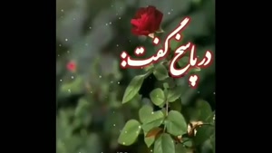 کلیپ سلام صبح بخیر / کلیپ صبح بخیر لاکچری