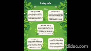 بهترین کود ریشه زا | تایمکس