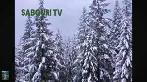 طبیعت زمستان کشور آلمان