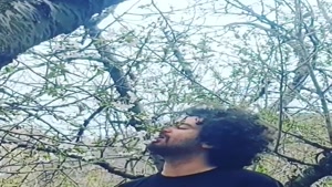 هومن گامنو راستی سال نوتون مبارک