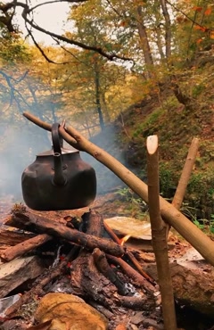 کلیپ صبح بخیر در طبیعت