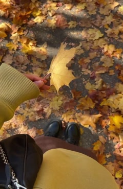 کلیپ صبح پاییزی 