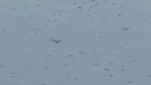 اولین برف کوهرنگ