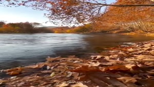 پاییز .زاینده رود