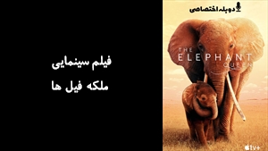 مستند ملکه فيل ها The Elephant Queen 2019 - دوزبانه