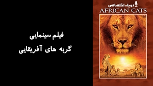 مستند گربه های آفريقايی African Cats 2011 - دوزبانه