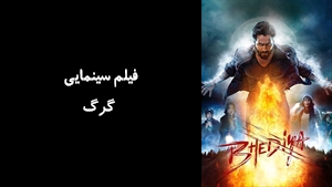فیلم سینمایی گرگ Bhediya 2022 - زیرنویس فارسی
