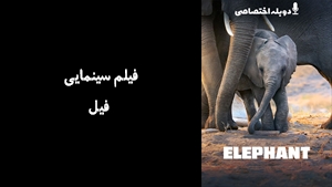 مستند فیل Elephant 2020 - دوزبانه