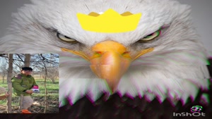 سحر نزدیک است