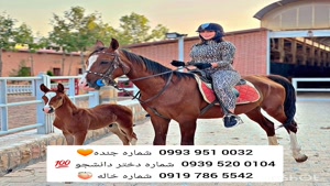 شماره دختر دانشجو سقز 0939.520.0104