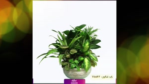 سفارش دیش گاردن سبز