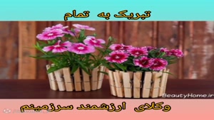 کلیپ روز وکیل برای اینستا