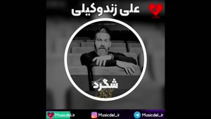 آهنگ جدید علی زندوکیلی - شگرد