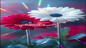 کلیپ سلام صبح بخیر / استوری صبح بخیر برای واتساپ