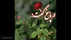 کلیپ سلام صبح بخیر / استوری زیبای صبح بخیر