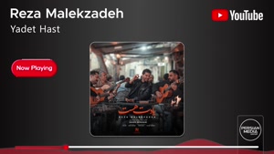 رضا ملک زاده _ آهنگ یادت هست
