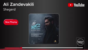 آهنگ جدید علی زندوکیلی به نام شگرد