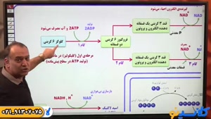 پلن زد جاست تست زیست کنکور 1404 عمارلو