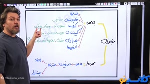 پلن زد جاست تست کلاسینو 1404 زیست شناسی محمد همدانی