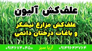 خرید علف کش آلیون - Alion علف کش قوی برای نیشکر و باغات میوه