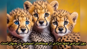 مستند حیوانات _ 10 تا از خطرناک ترین گربه سانان جهان