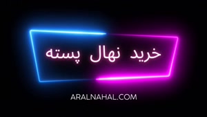 خرید نهال پسته