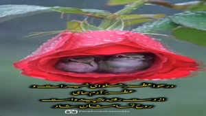 کلیپ پنجشنبه اخرسال برای اینستا