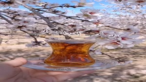 فال انتهای سال