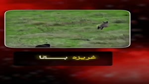 کلیپ انگیزشی / کلیپ انگیزشی برای استوری
