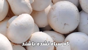 آموزش صفر تا صد خشک کردن قارچ بدون سیاه شدن 09138900047