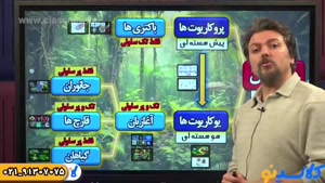 بهترین معلم زیست و زمین نهم تیزهوشان | محمد همدانی