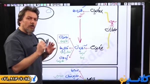 پلن زد زیست کنکور 1404 همدانی (کلاسینو)