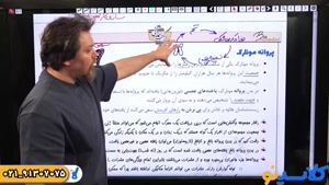پلن زد زیست کنکور 1404 همدانی (کلاسینو)