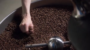 اکسسوری و لوازم قهوه موونا