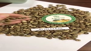 پخش فله اکسسوری و لوارم قهوه